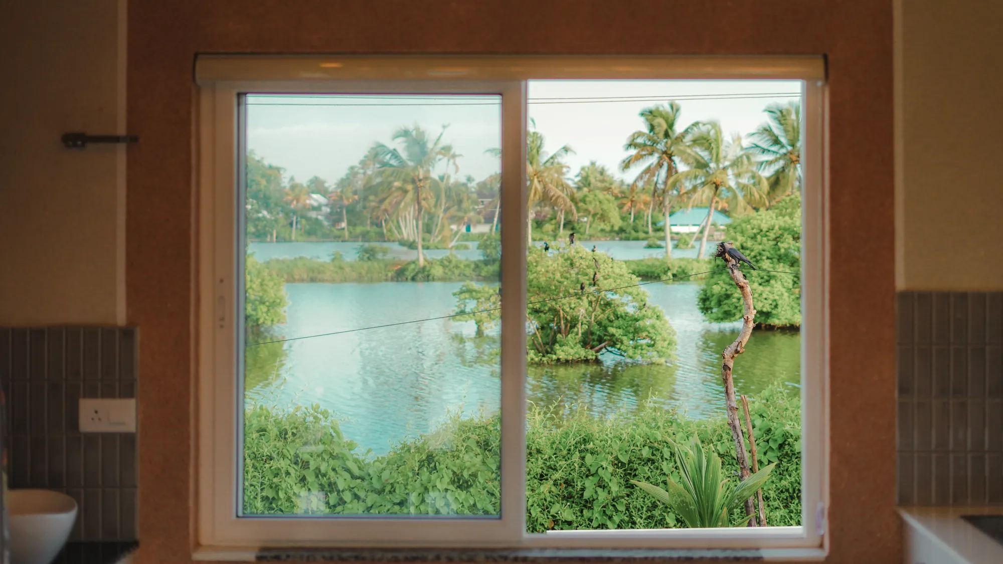 Panoramic River-View Room